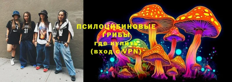 Галлюциногенные грибы Psilocybine cubensis  Кодинск 